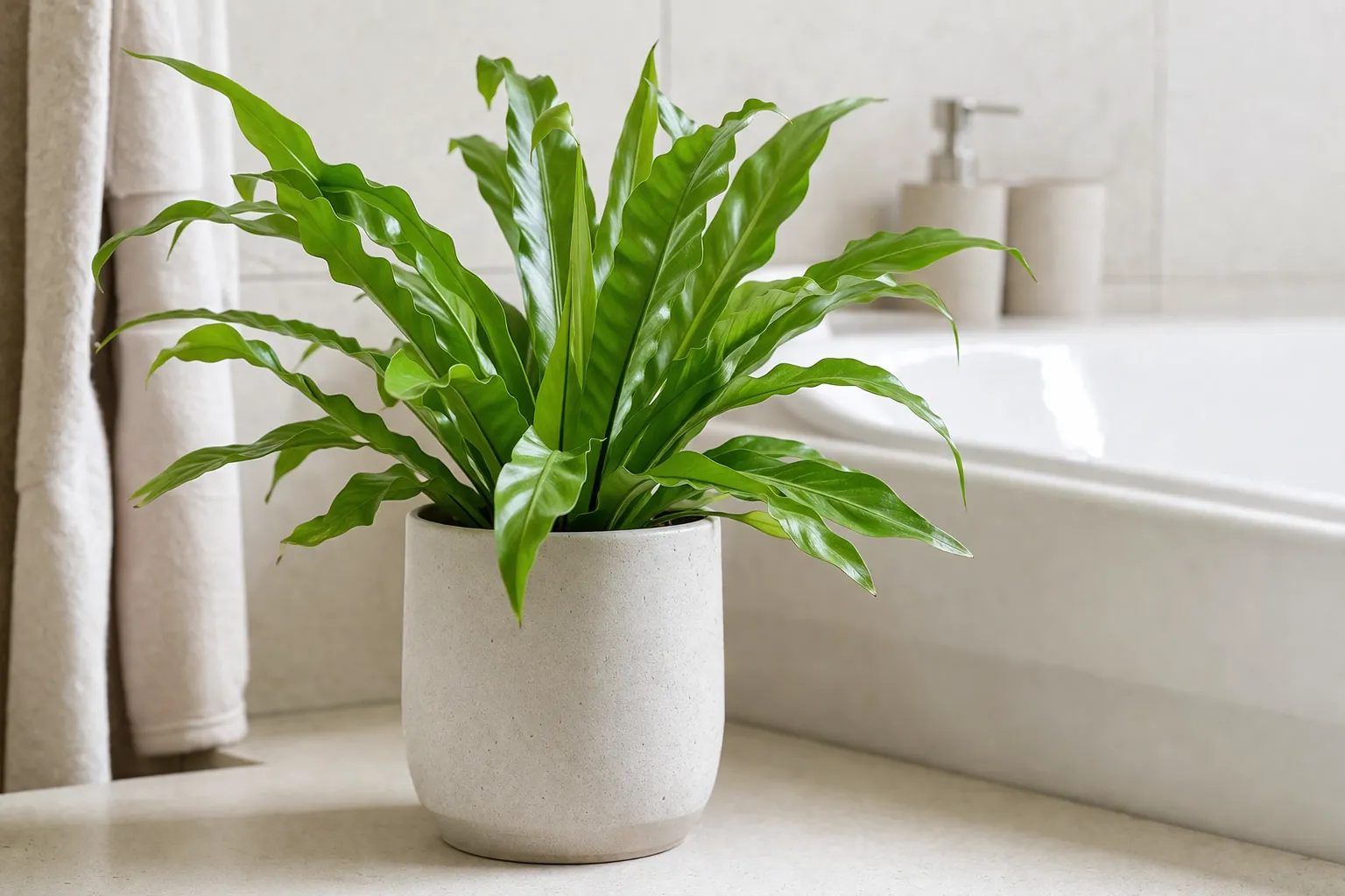 Een echte, groene badkamerplant in een lichte pot. Veilig voor katten en perfect voor een vochtige ruimte.